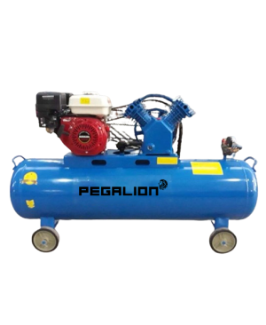 MÁY NÉN KHÍ ĐẦU NỔ CHẠY BẰNG XĂNG TM-V-0.25/8-120L