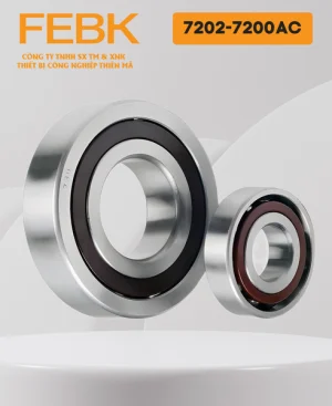 Vòng bi FEBK 7202-7200AC
