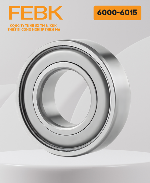 Vòng bi FEBK 6000-6015
