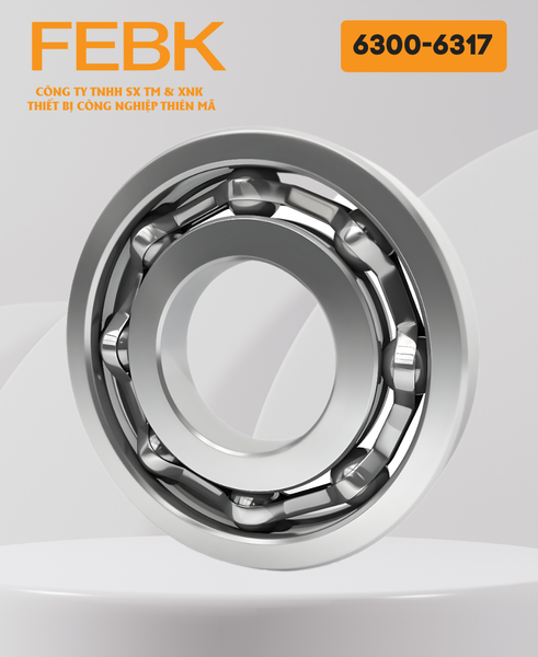 Vòng bi FEBK 6300-6317