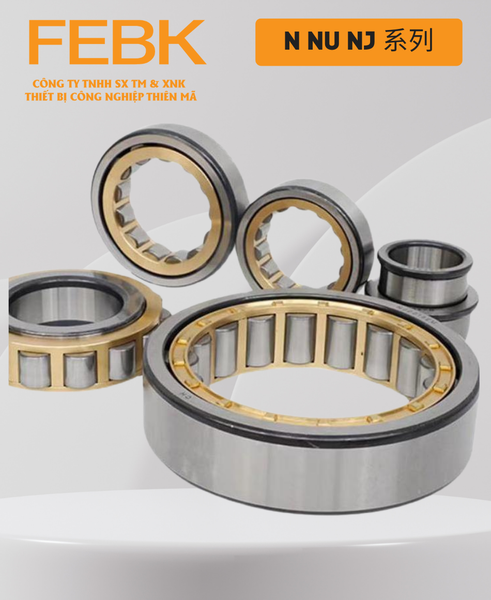 Vòng bi FEBK N NU NJ 系列
