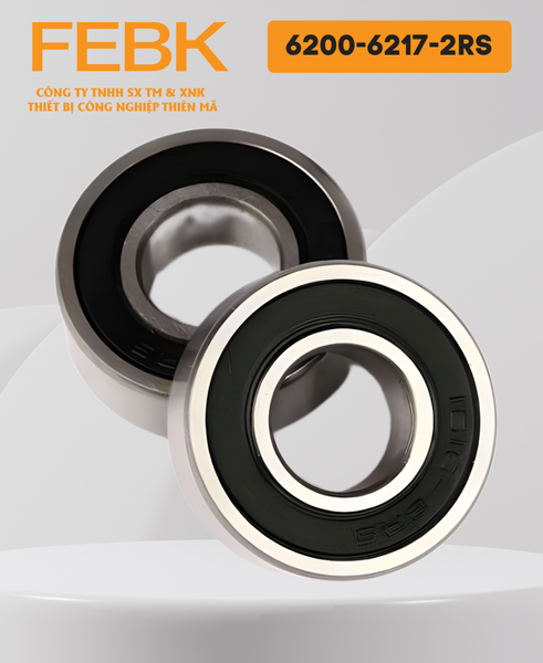 Vòng bi FEBK 6200-6217-2RS