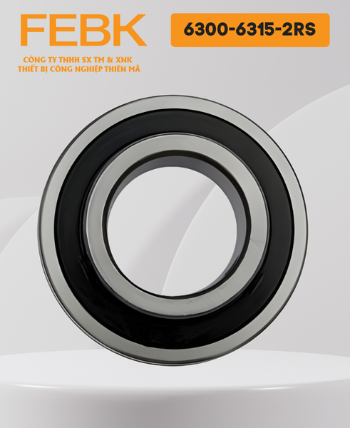 Vòng bi FEBK 6300-6315-2RS