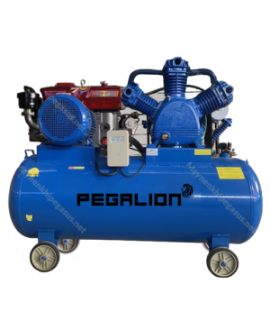 Máy nén khí dây đai TM-W-2.0/8-500L