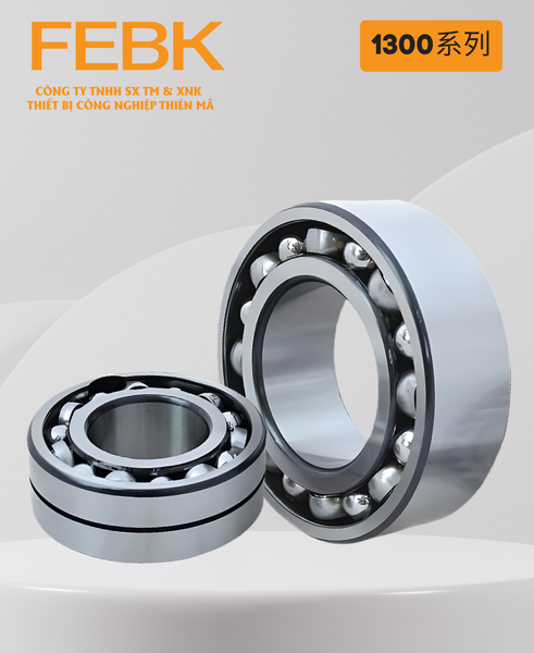 Vòng bi FEBK 1300